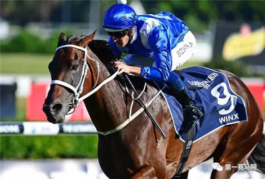 最佳骑师布文被停赛!“云丝仙子”练马师华礼纳电话被打爆