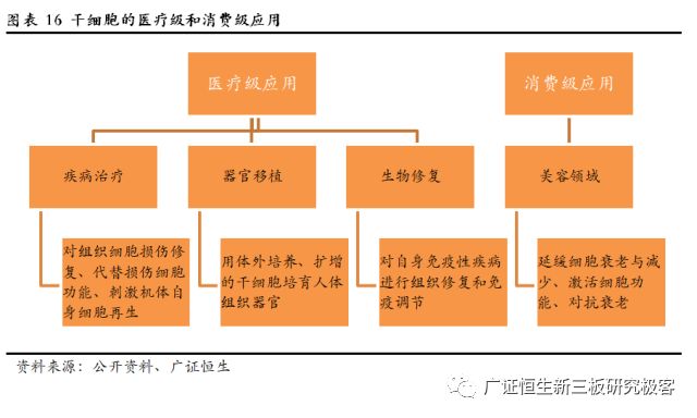 赛莱拉干细胞之旅,广东省广州市赛莱拉干细胞