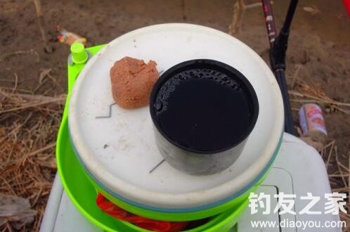 阿魏药酒对鱼的作用,阿魏诱鱼怎么用