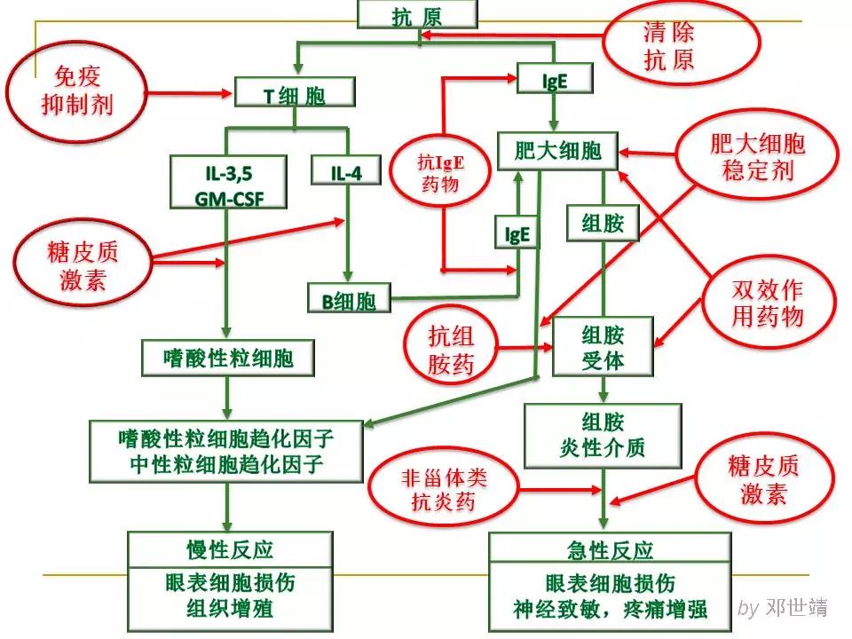 眼睛过敏如何预防,治疗眼周围过敏方法