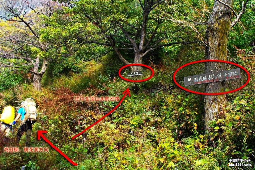 十字岭鸡冠梯环线,南太行鸡冠梯最险处