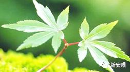 黄山市人民医院病房,黄山市人民医院住院部12楼