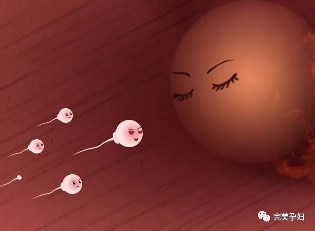 你这个小兔崽子用日语怎么说,你这个小兔崽子用英文怎么说