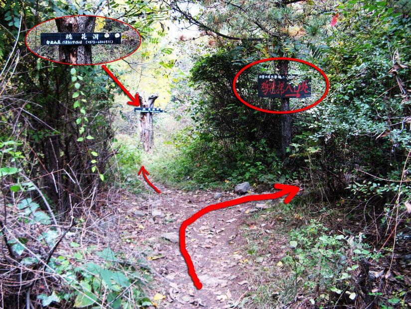 十字岭鸡冠梯环线,南太行鸡冠梯最险处