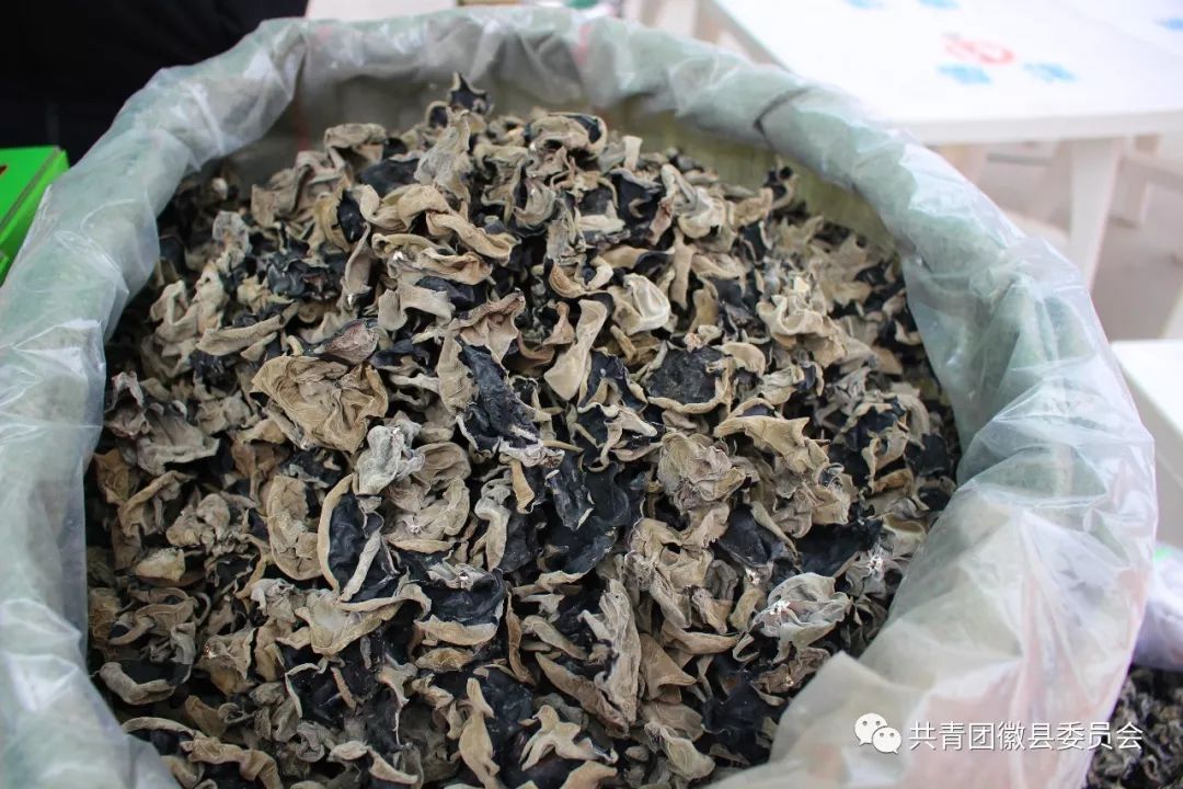 惠民电商年货节,荣县电商直播年货节