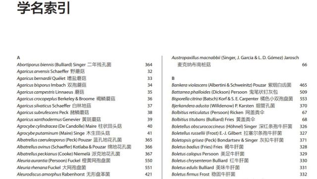 小心这些东西有毒千万别碰,小心有毒的蘑菇完整版