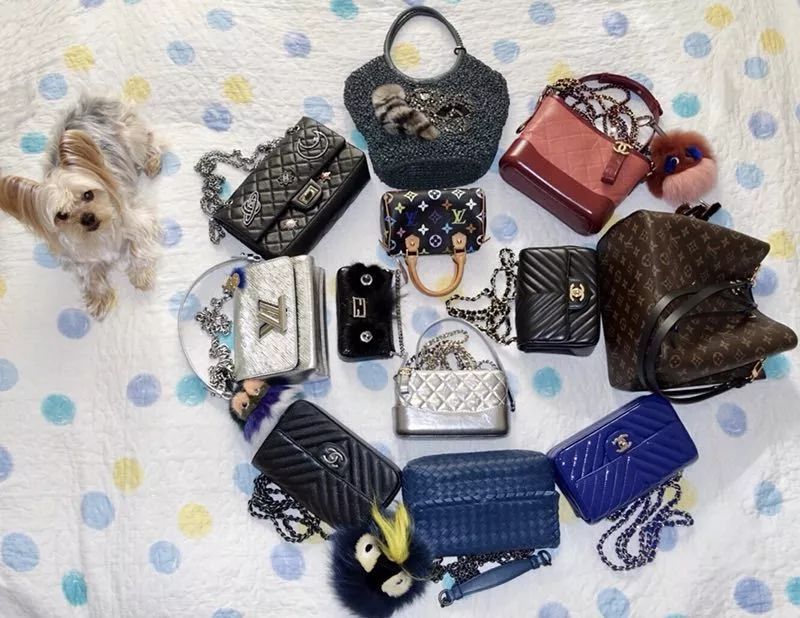 晒包｜一年内竟然就买了这么多新包，你们太厉害了！