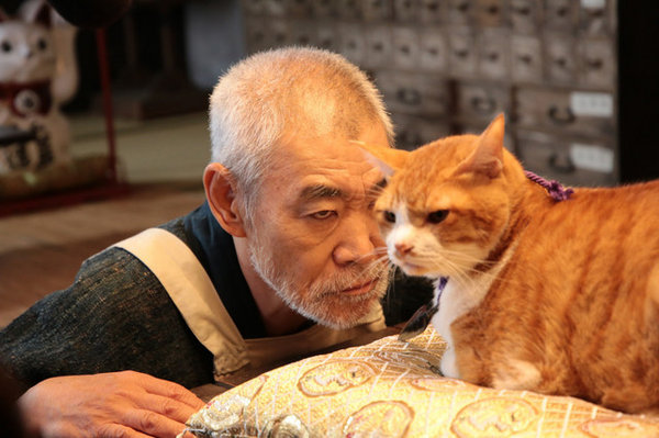 泰国芭提雅曼谷游记,泰国曼谷和芭提雅自由行攻略