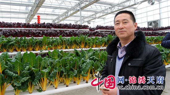 劳模感言一句话大全,劳模精神贺词