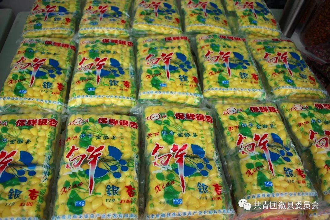 惠民电商年货节,荣县电商直播年货节