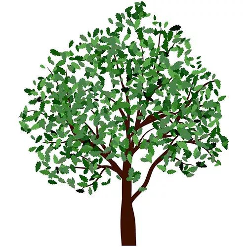 许尤佳过敏性咳嗽,许尤佳咳嗽老不好