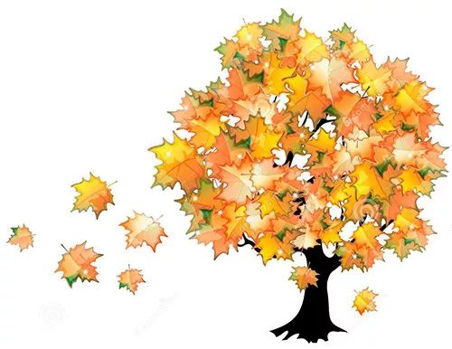 许尤佳过敏性咳嗽,许尤佳咳嗽老不好