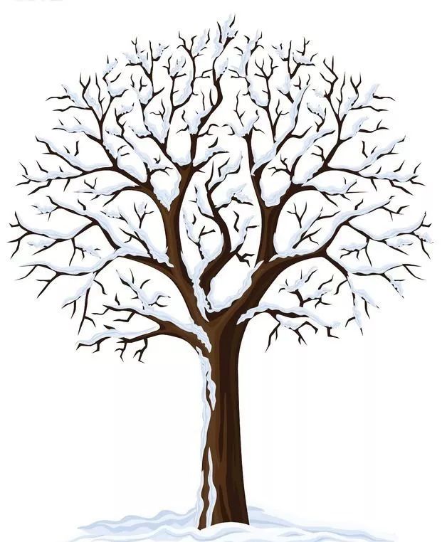 许尤佳过敏性咳嗽,许尤佳咳嗽老不好