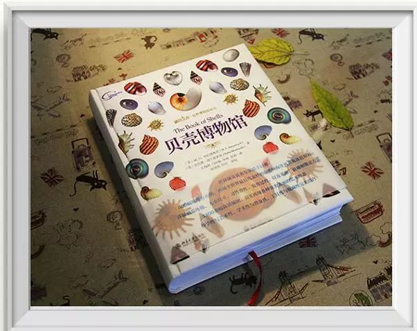 小心这些东西有毒千万别碰,小心有毒的蘑菇完整版