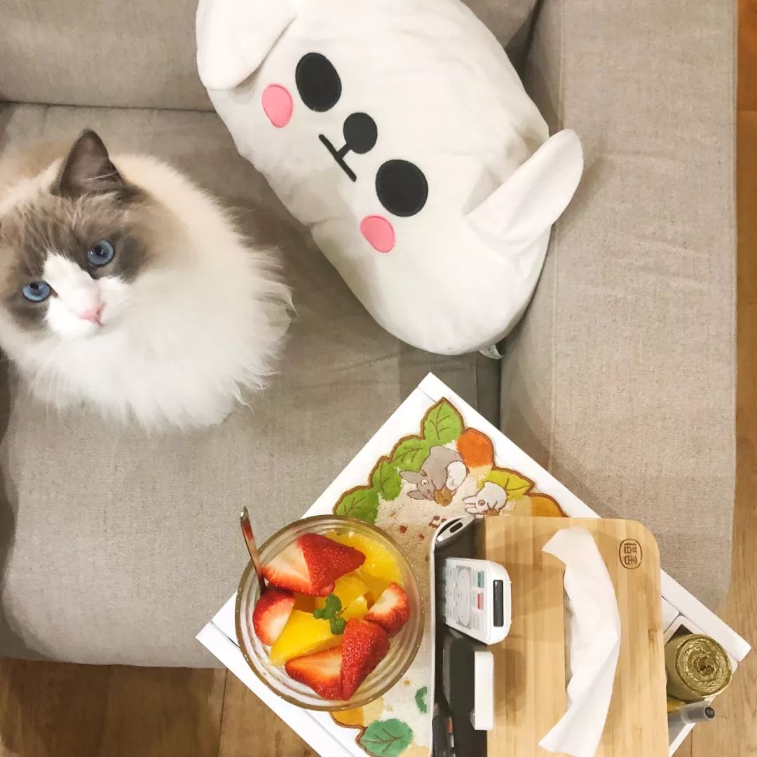 平价种草好物收纳,平价格子收纳好物推荐