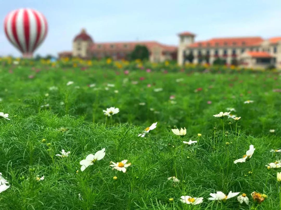 杭嘉湖春节旅游免费景点,春节浙江免门票旅游攻略