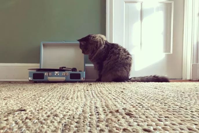 还记得留声机的声音吗？时隔20年上海重启黑胶唱片生产线