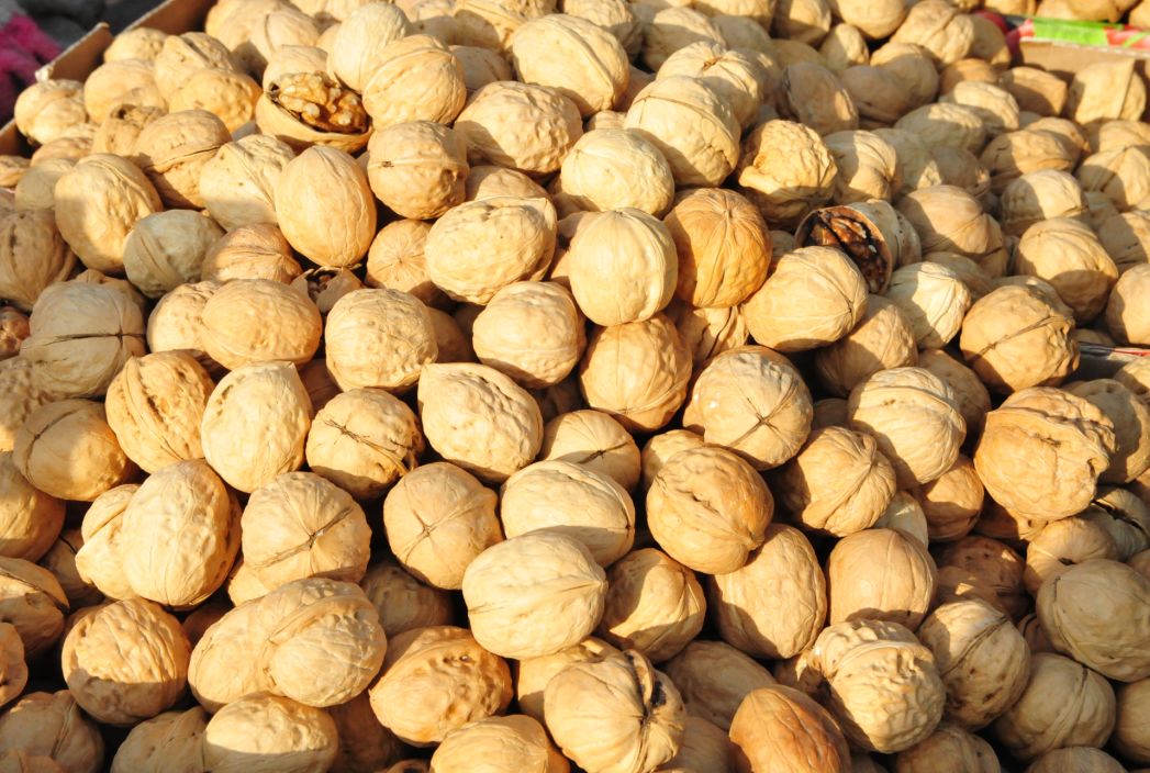 办年货快来坨里赶大集,赶大集办年货浓浓年味迎春节