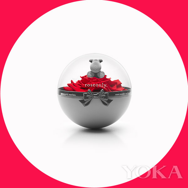 2019年doge币,doge币2022年