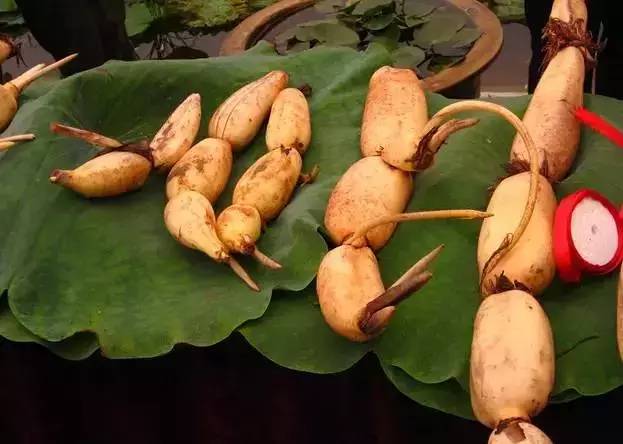 冬季去广西必带特产排行榜推荐,春节广西旅游必备品