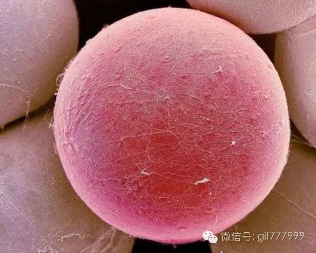 10张图看清人生真相,一张图看懂脂肪多可怕