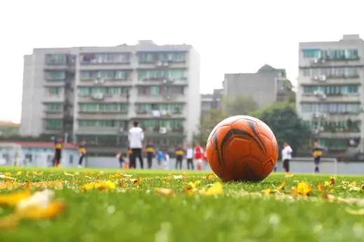 成都体育学院新校区规划,成都体育学院新校区计划招生多少