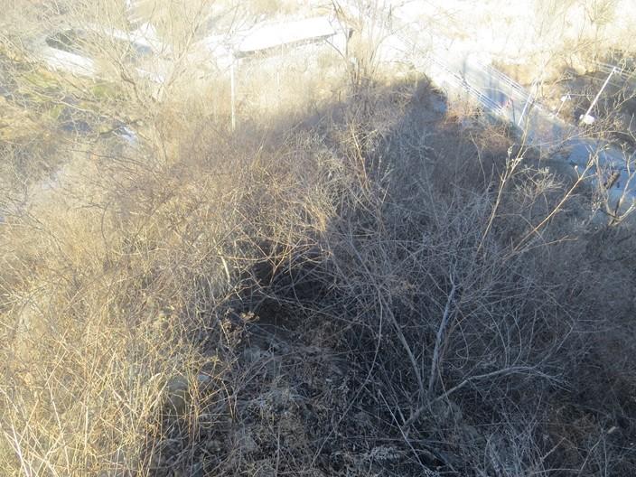 亓莲关~大角楼~秃尾巴边长城穿越