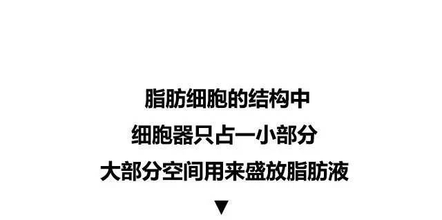 10张图看清人生真相,一张图看懂脂肪多可怕