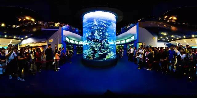 青岛春节香港旅游攻略,青岛春节自驾旅游攻略