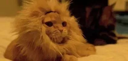 「岱检提醒」坐火车、飞机,这些东西不能带!