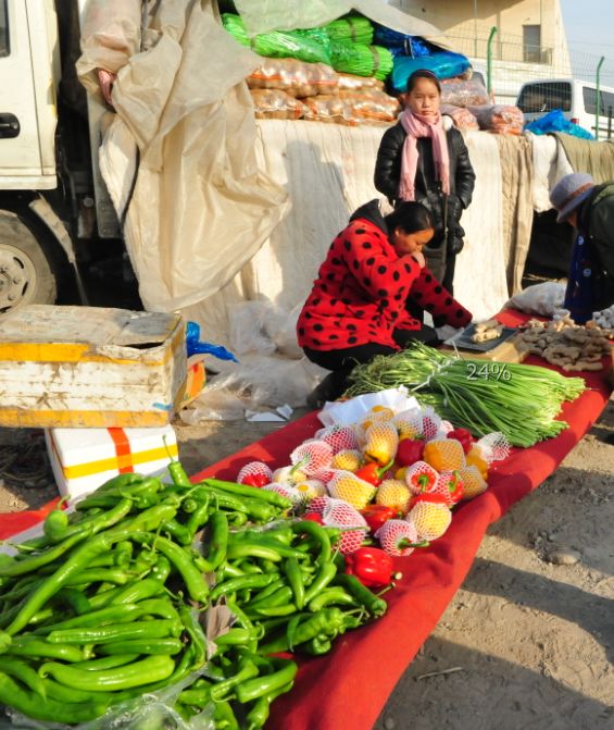 办年货快来坨里赶大集,赶大集办年货浓浓年味迎春节
