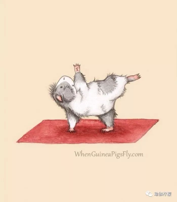 灏忚睔榧犵粌鐟滀冀,缁冪憸浼界殑灏忚睔榧犲お钀屼簡