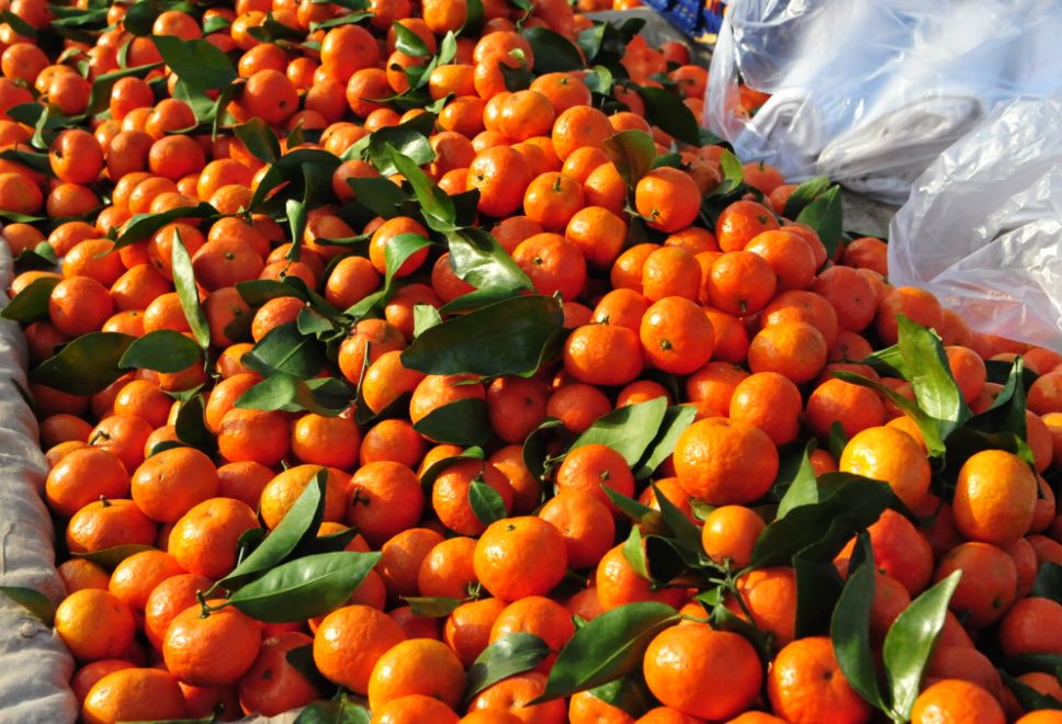 办年货快来坨里赶大集,赶大集办年货浓浓年味迎春节