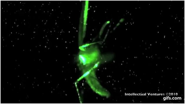 瞄准蚊子，发射！｜2017“十佳新锐科普创客”优秀作品展示