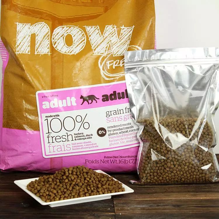 给猫买什么猫粮比较好,给猫最好买什么猫粮