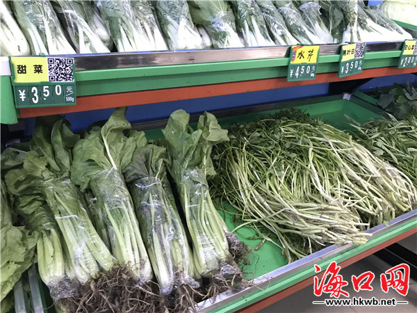 平价蔬菜优惠团购,新鲜蔬菜春节不打烊