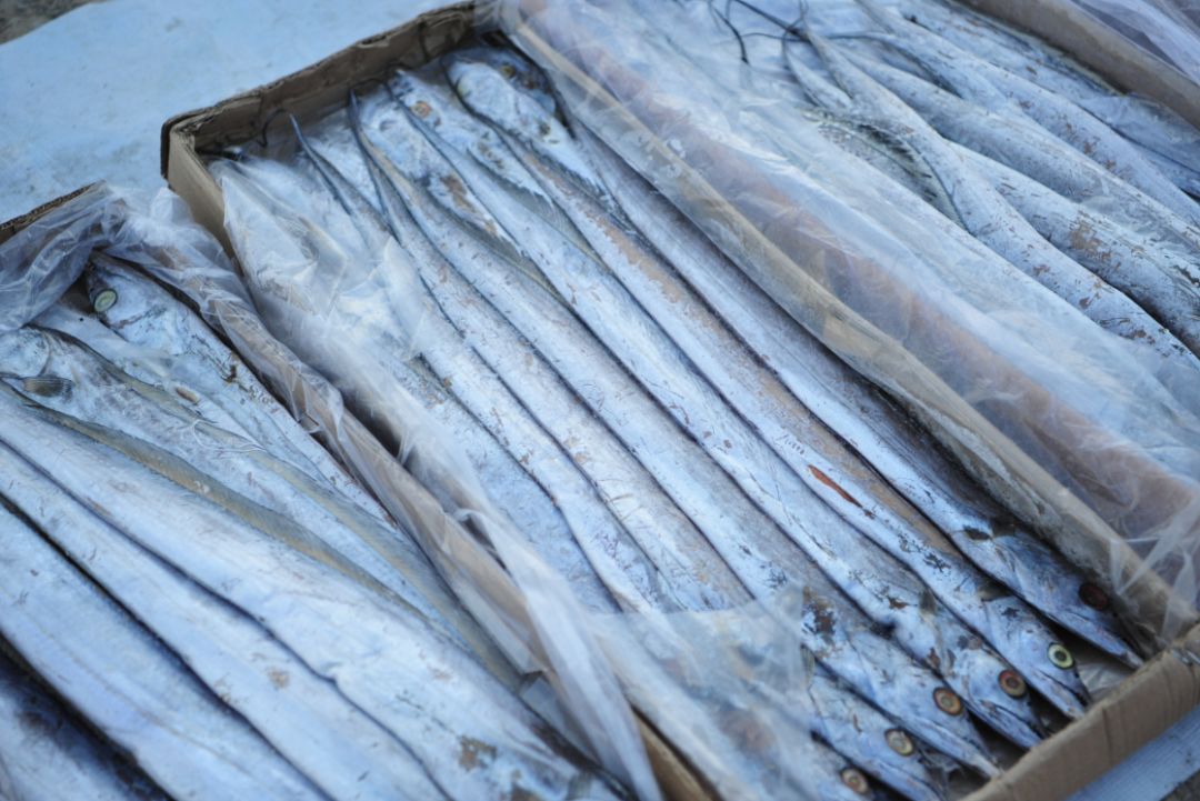 办年货快来坨里赶大集,赶大集办年货浓浓年味迎春节