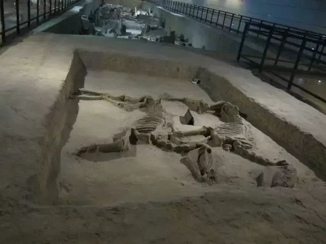 洛阳大型文化广场,洛阳著名广场