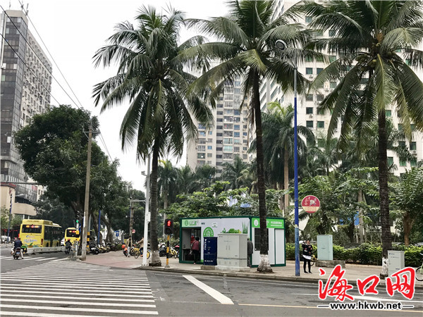 平价蔬菜优惠团购,新鲜蔬菜春节不打烊