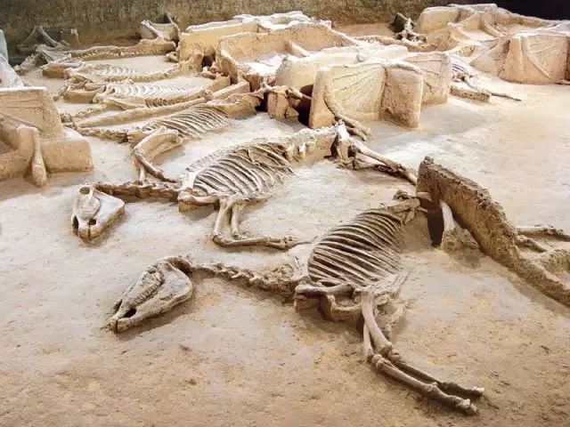 洛阳大型文化广场,洛阳著名广场