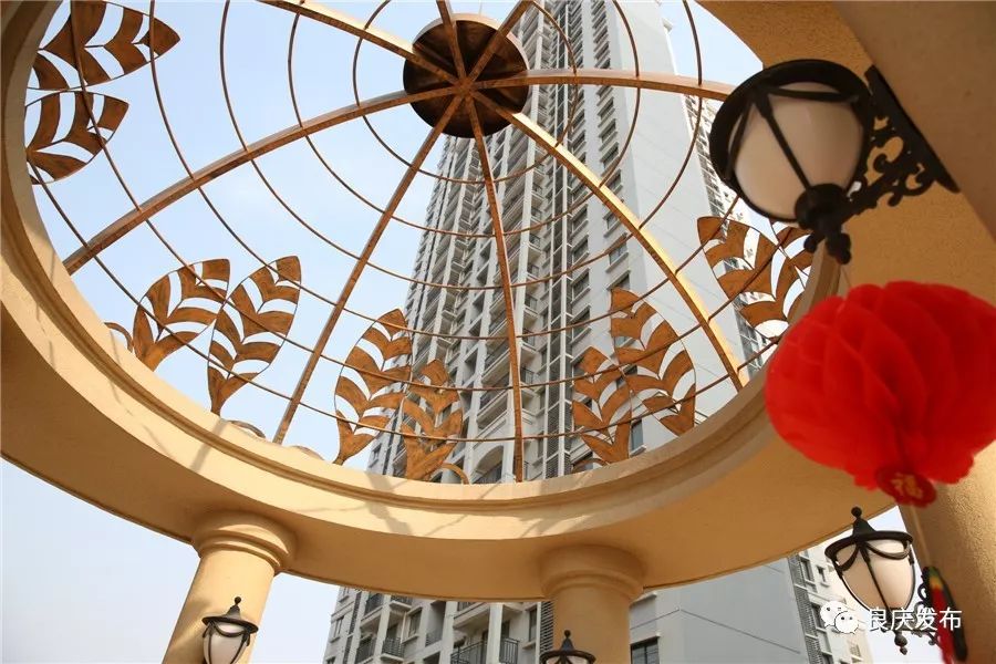 美滋滋！他们在新区、住新家、谋新发展