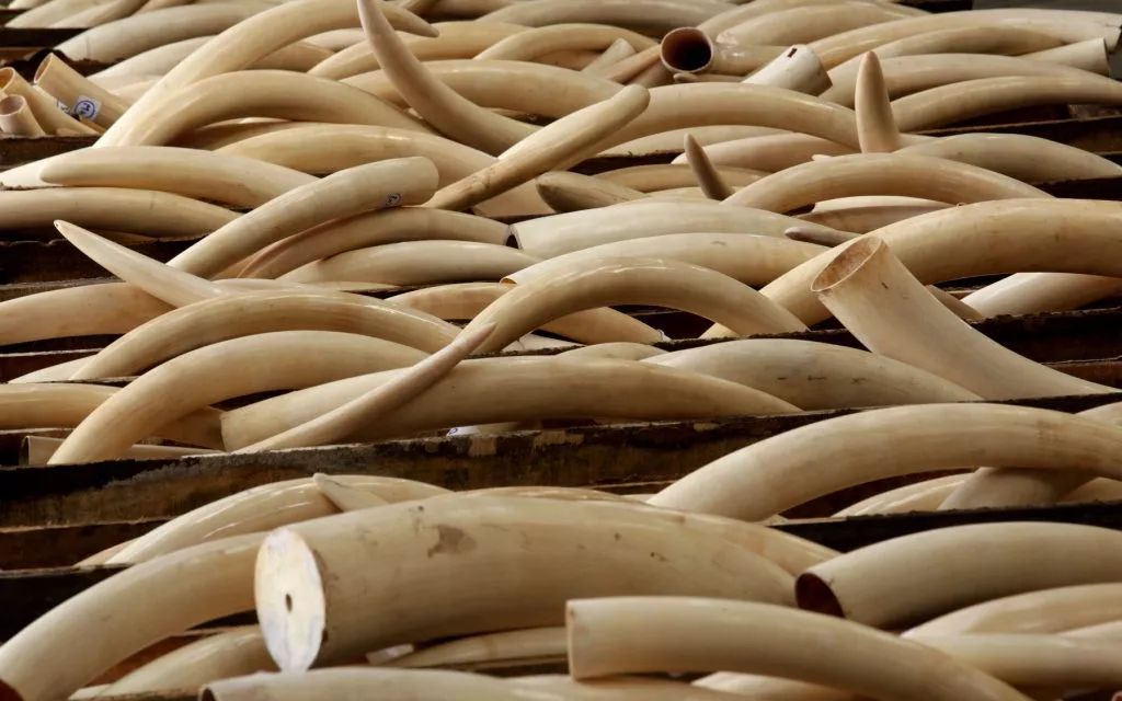 十年近1000名环保人被害，只有10凶手被定罪？