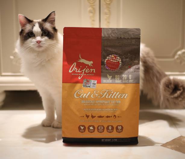 给猫买什么猫粮比较好,给猫最好买什么猫粮