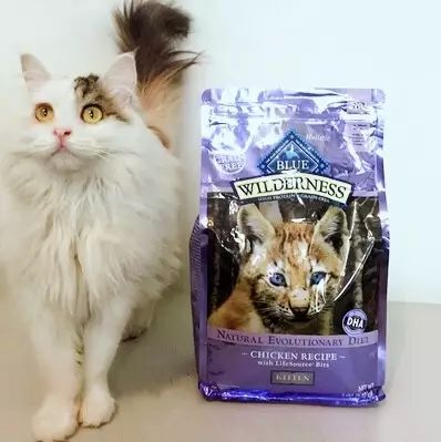 给猫买什么猫粮比较好,给猫最好买什么猫粮
