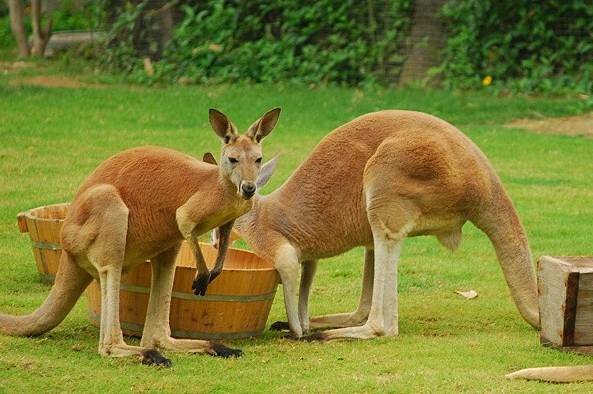 广州最值得一日游的地方,广州一日游攻略自由行线路推荐图