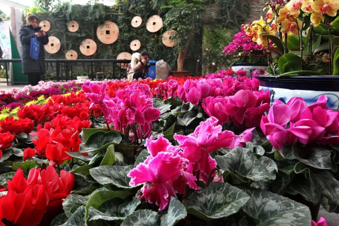 「946·民生」石家庄过年全攻略!医院、银行、演出、商超营业时间地点大汇总!