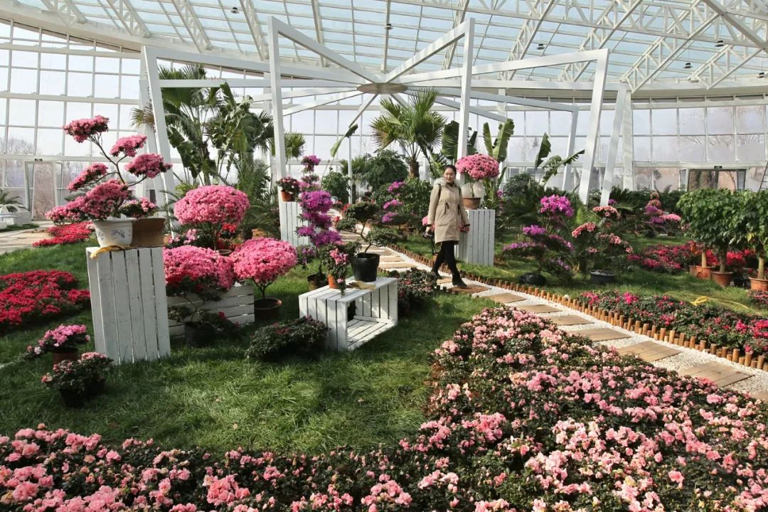 「946·民生」石家庄过年全攻略!医院、银行、演出、商超营业时间地点大汇总!