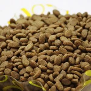 给猫买什么猫粮比较好,给猫最好买什么猫粮