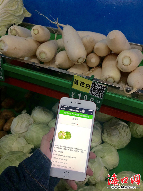 平价蔬菜优惠团购,新鲜蔬菜春节不打烊