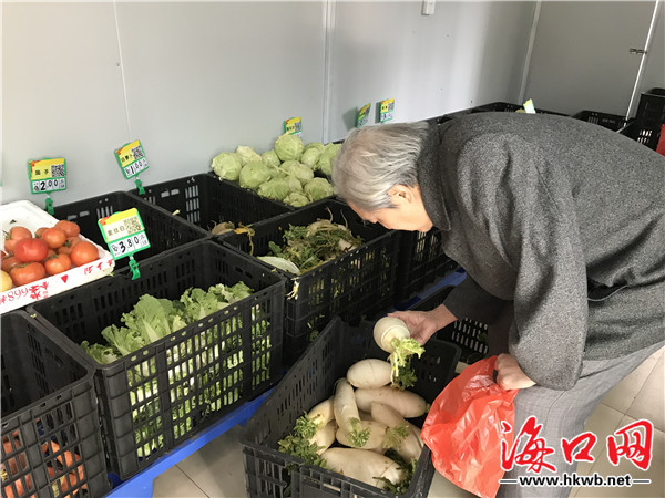 平价蔬菜优惠团购,新鲜蔬菜春节不打烊